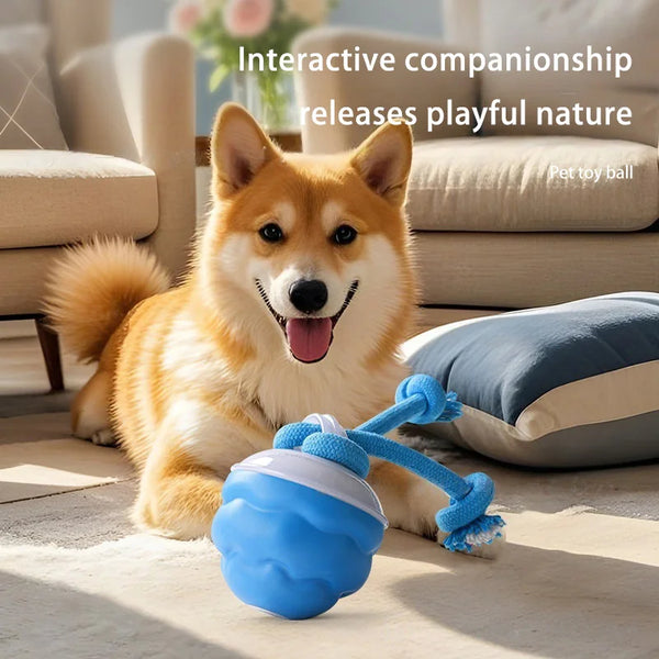 BounceBuddy Automatic Dog Ball