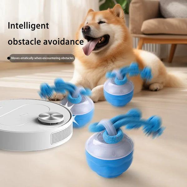 BounceBuddy Automatic Dog Ball